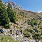 Creasta Bucsa