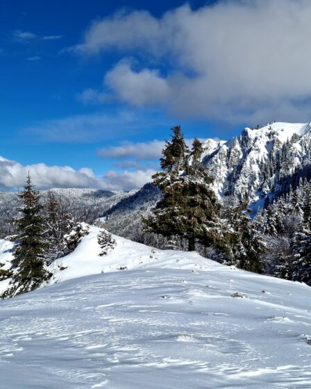 Buila_Varful_Piatra