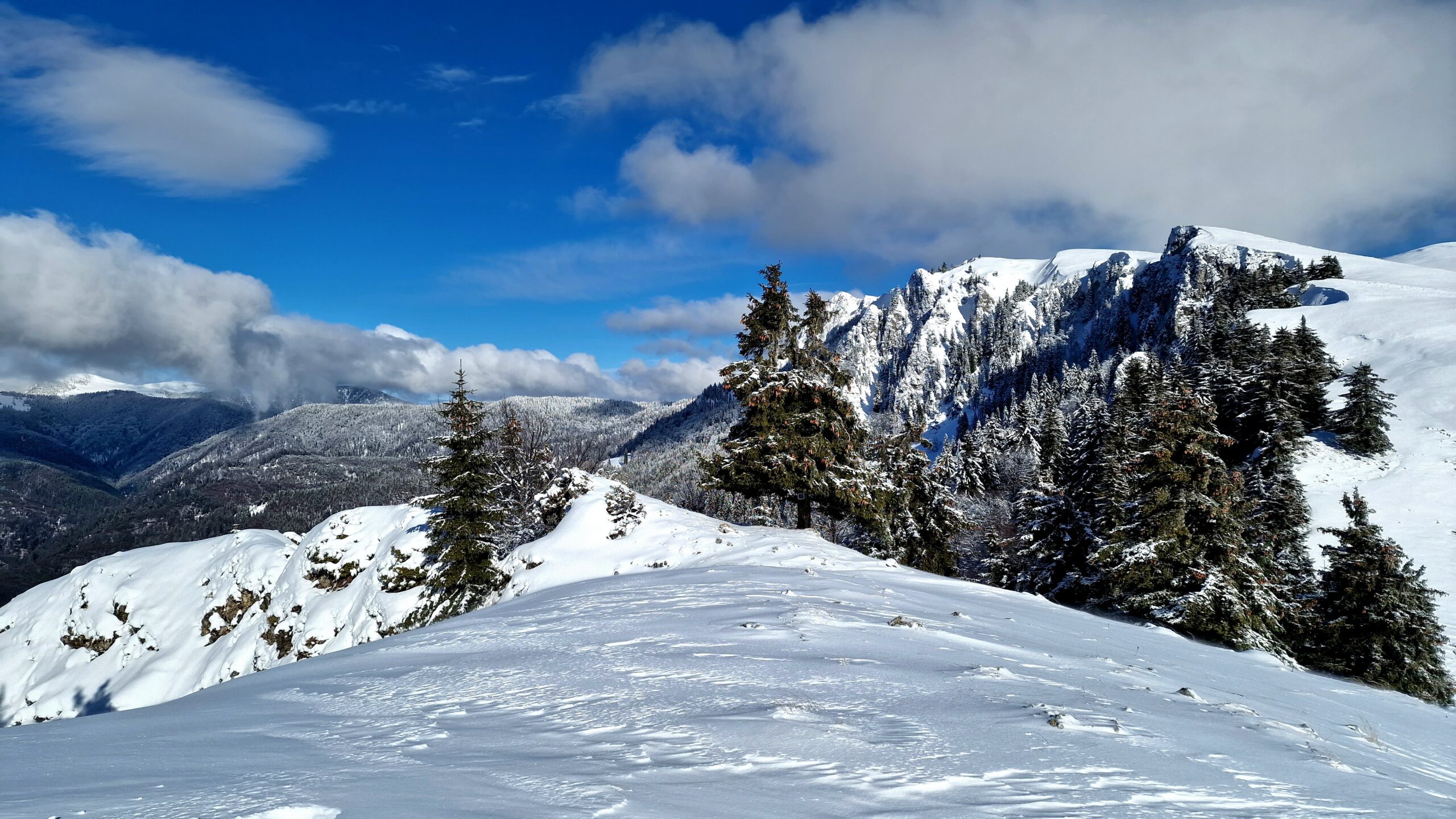 Buila_Varful_Piatra