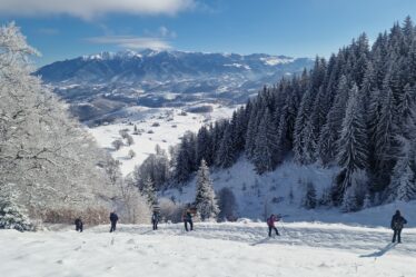 Sirnea_Ciocanu_Cheile_Brusturetului