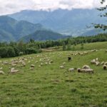 Muntii Latoritei