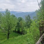 Muntii Latoritei
