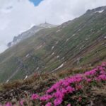 Costila - Muntii Bucegi