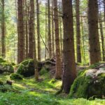 Moara Dracului - Muntii Bucegi