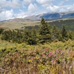 Lucacila - Muntii Bucegi