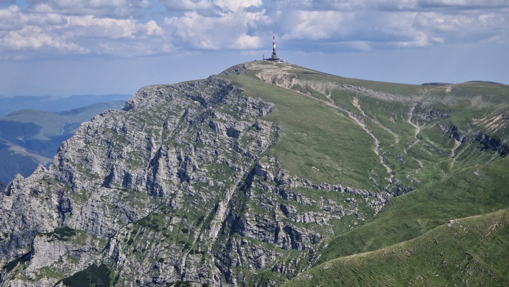 Releul Costila