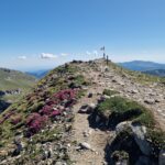 Valea Gaura - Muntii Bucegi