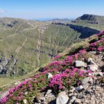 Valea Gaura - Muntii Bucegi