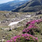 Valea Gaura - Muntii Bucegi