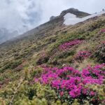 Muntele Tiganesti - Muntii Bucegi