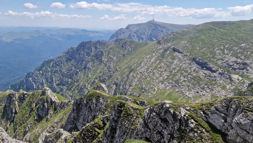 Releul Costila