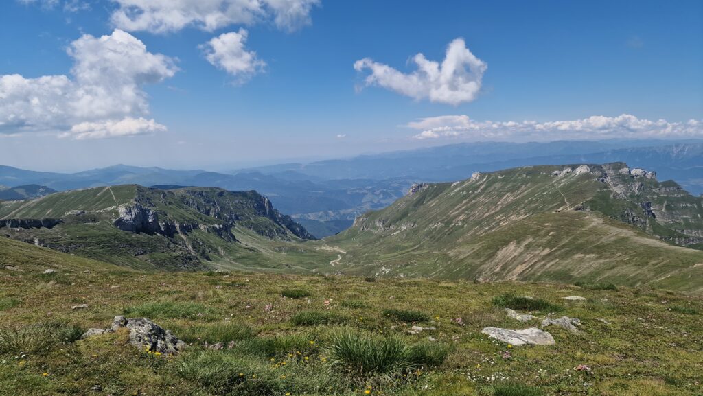 Valea Gaura