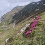 Valea Cerbului - Muntii Bucegi