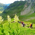Fereastra Zmeilor - Muntii Fagaras