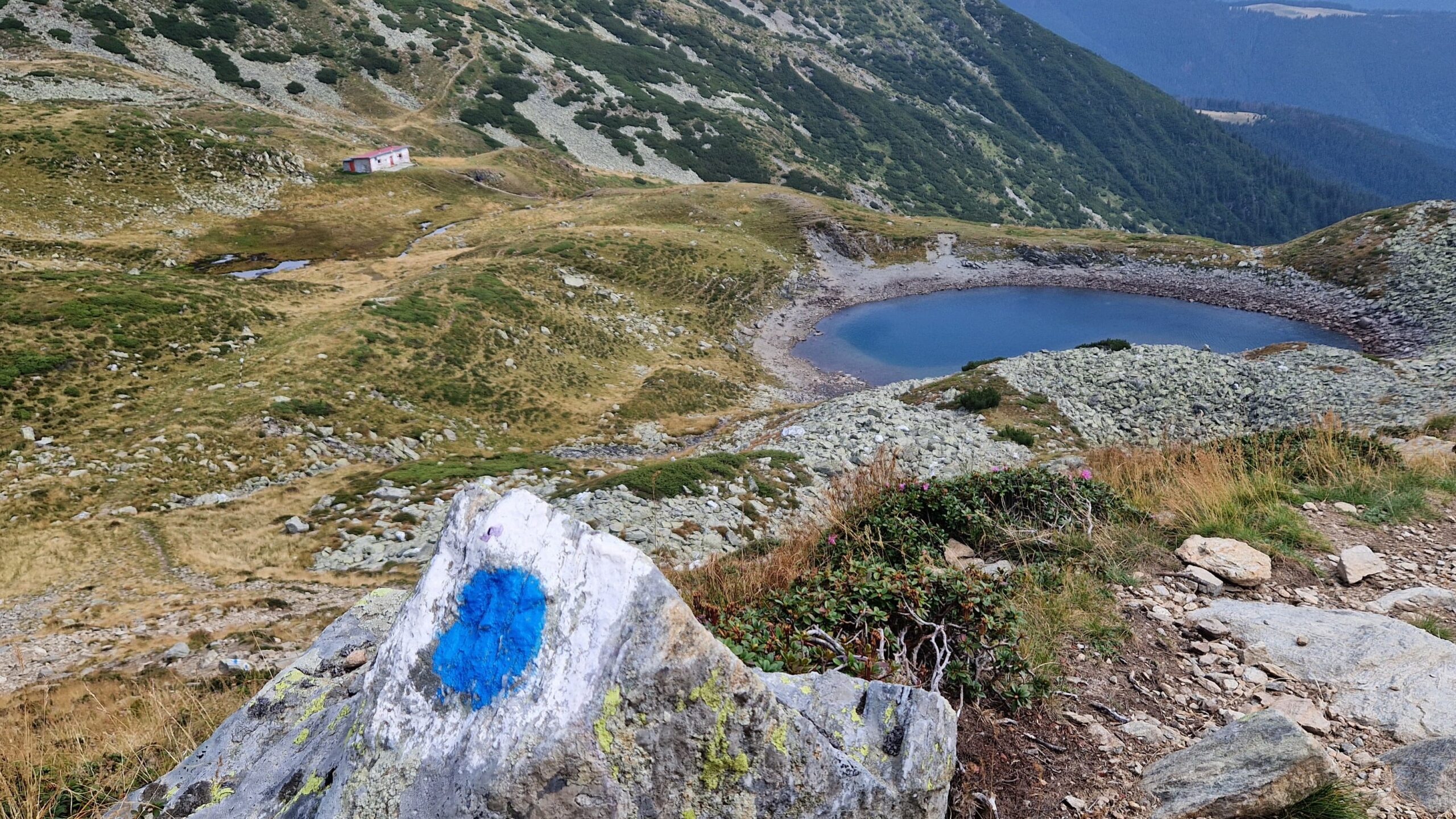 Lacul si Refugiul Iezer