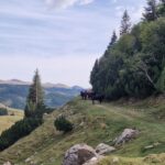 Varful Batrana - Muntii Bucegi
