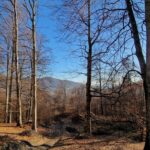 Fata_lui_Gherghel - Muntii Grohotis