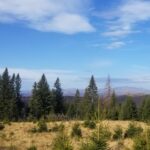 Fata_lui_Gherghel - Muntii Grohotis