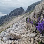 Slovenia si Alpii Iulieni