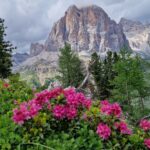Dolomiti - Trekking - Tofana di Rozes