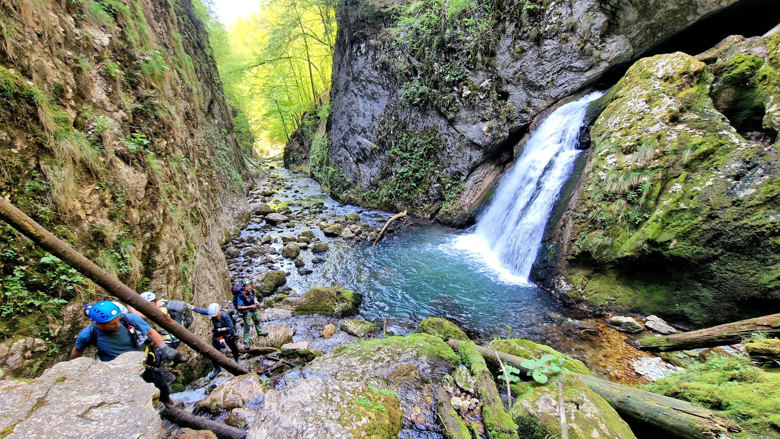 Muntii Apuseni