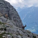 Slovenia si Alpii Iulieni