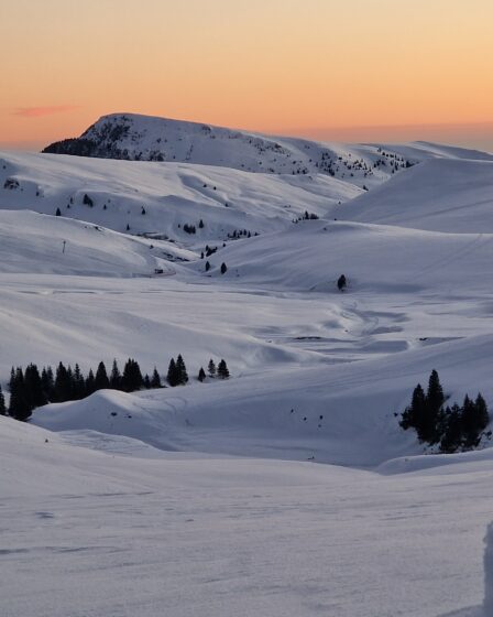 Platoul Muntilor Bucegi