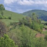 Satul Holbav si Via Transilvanica