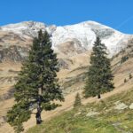 Varful Lespezi - Muntii Fagaras