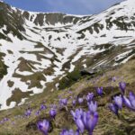 Varful Lespezi - Muntii Fagaras
