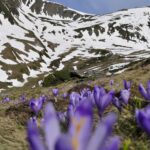 Varful Lespezi - Muntii Fagaras