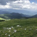 Fratosteanu Mare