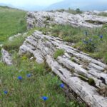 Fratosteanu Mare