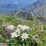Muntii Bucegi - Brana Caprelor - Bucsoiu