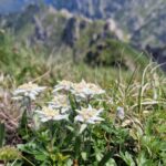 Muntii Bucegi - Brana Caprelor - Bucsoiu