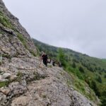 Culmea Gropșoarele - Zăganu