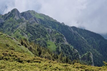 Culmea Gropsoarele Zaganu