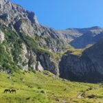 Muntii Bucegi - Brana Caprelor - Bucsoiu