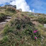 Varful Lespezi - Muntii Fagaras