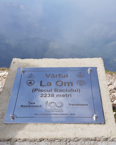 Varful La Om (Piscul Baciului)
