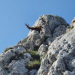 La Om (Piscul Baciului) - Creasta Nordica