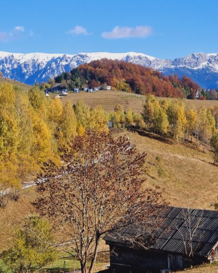 Sirnea Ciocanu si Cheile Brusturet
