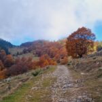 Sirnea Ciocanu si Cheile Brusturet
