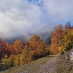 Sirnea Ciocanu si Cheile Brusturet